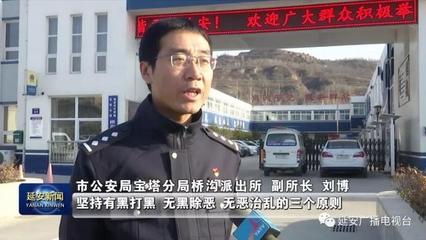 延安 黑恶必扫 除恶务尽——全面动员打击利用信息网络经营动漫产品的黑恶势力